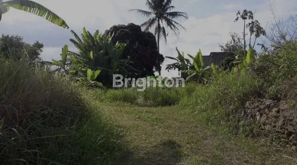 image TANAH KAVLING PADAT DIPONEGORO SIDOREJO SALATIGA JAWA TENGAH INVESTASI STRATEGIS (4)