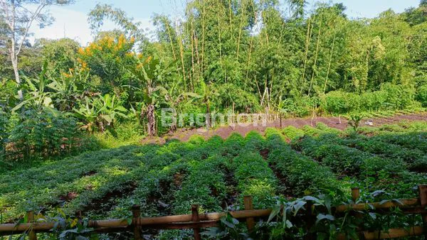 image DIJUAL TANAH LUAS STRATEGIS DI CIMANGGUNG SUMEDANG – UDARA SEJUK & LINGKUNGAN NYAMAN (6)