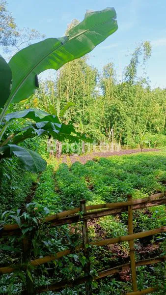 image DIJUAL TANAH LUAS STRATEGIS DI CIMANGGUNG SUMEDANG – UDARA SEJUK & LINGKUNGAN NYAMAN (4)