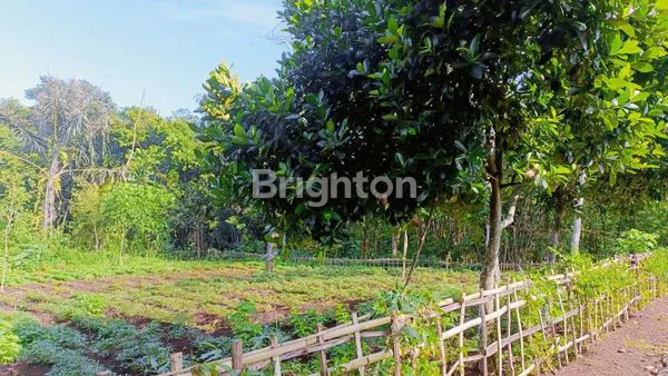 image DIJUAL TANAH LUAS STRATEGIS DI CIMANGGUNG SUMEDANG – UDARA SEJUK & LINGKUNGAN NYAMAN (3)