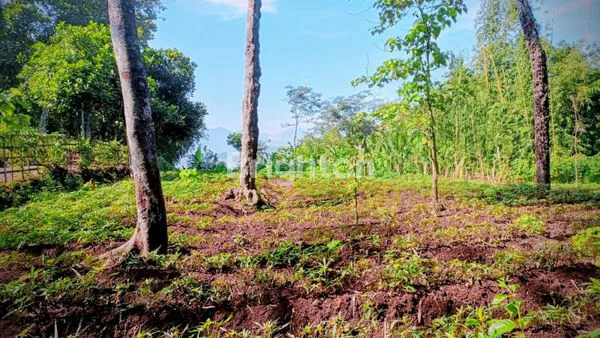 image DIJUAL TANAH LUAS STRATEGIS DI CIMANGGUNG SUMEDANG – UDARA SEJUK & LINGKUNGAN NYAMAN (5)