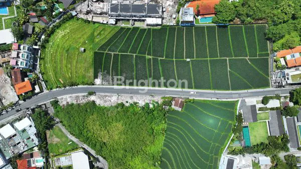TANAH STRATEGIS DI CANGGU, DEKAT ATLAS