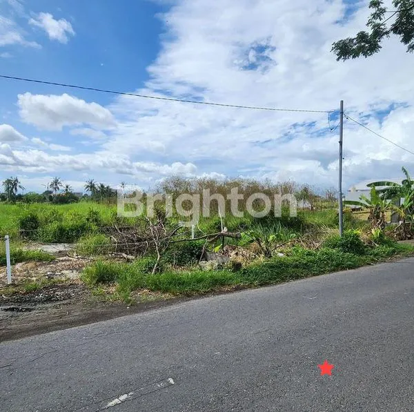image LAHAN JALAN UTAMA DI KAWASAN PANTAI SESEH, TABANAN - BALI (5)