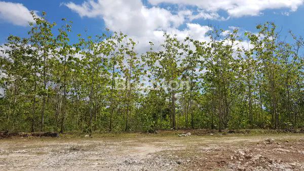 image INVESTASI TANAH NUSA PENIDA, HARGA MULAI 90 JUTA (2)