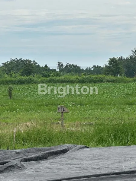 image KAVLING BELONG BEACH (2)