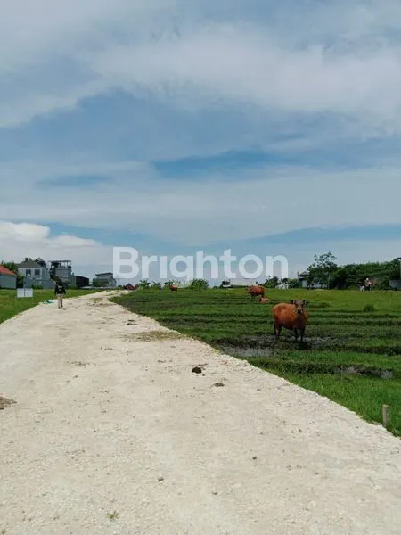 image TANAH ITR KUNING STRATEGIS COCOK UNTUK VILLA LOKASI  BUMBAK UMALAS  BADUNG (4)