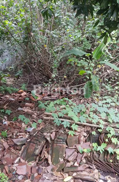 TANAH SHM KEBRAON, COCOK KOST & HUNIAN