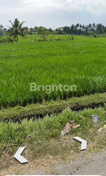 image LAHAN STRATEGIS DEKAT PANTAI PERERENAN (3)