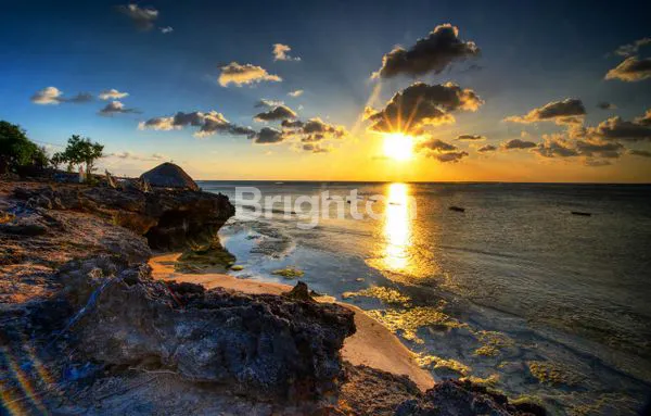 TANAH PANTAI NEMBERALA ROTE, SURGA TERSEMBUNYI