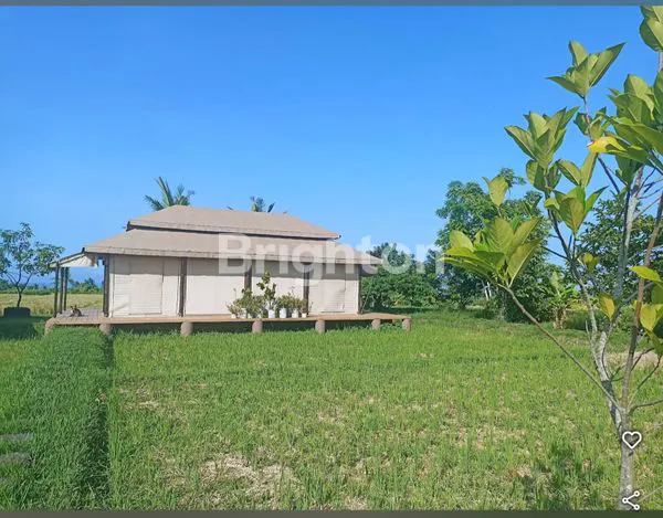 image LAHAN STRATEGIS PANTAI BELONG, 5 ARE SIAP BANGUN (7)