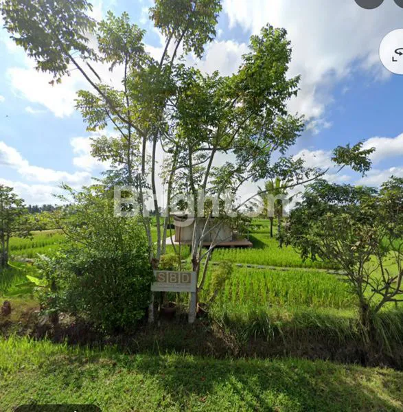 image LAHAN STRATEGIS PANTAI BELONG, 5 ARE SIAP BANGUN (4)