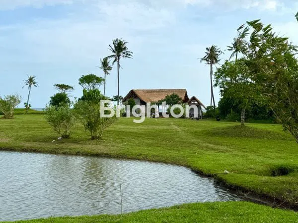 image TANAH ISTIMEWA VIEW LAUT PANTAI BELONG & SAWAH TABANAN\N (1)