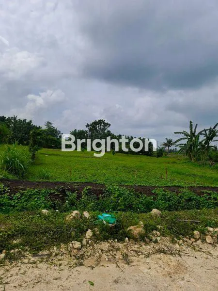 image TANAH ISTIMEWA VIEW LAUT PANTAI BELONG & SAWAH TABANAN\N (8)