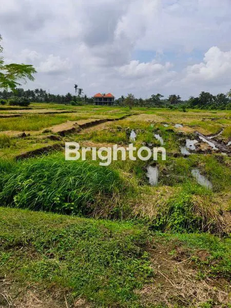 image TANAH ISTIMEWA VIEW LAUT PANTAI BELONG & SAWAH TABANAN\N (5)