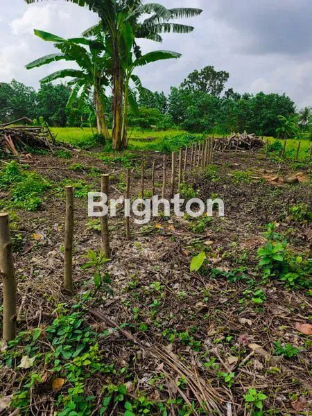 image TANAH ISTIMEWA VIEW LAUT PANTAI BELONG & SAWAH TABANAN\N (4)