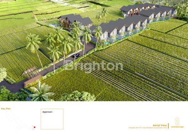 VILLA MEWAH 3KT DI SAWAH UBUD