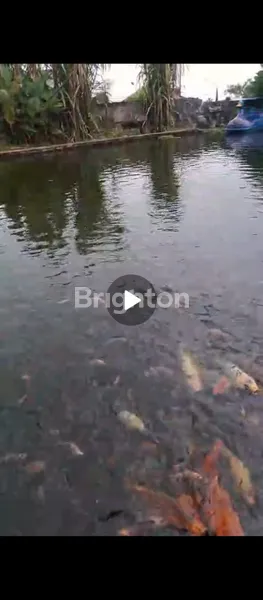 image DIJUAL VILLA ASRI 2 LANTAI DI CIMACAN CIPANAS PUNCAK – LUAS TANAH 2028 M², HARGA 4,6 M NEGO! (4)