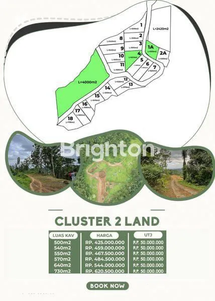 image INVESTASI KEBUN DURIAN MUSANG KING TABANAN TANAH FREE PERAWATAN 4 TAHUN! \N (3)