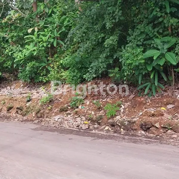 image LAHAN DI KAWASAN VILLA NYANG NYANG, ULUWATU - BALI (3)