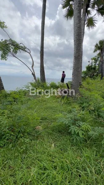image TANAH SANGAT LANGKA VIEW LAUT ABADI DI ATAS TEBING LUAS 375M2 LOKASI DESA SERAYA KARANGASEM \N (1)