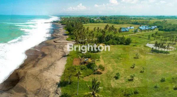 image TANAH KAVLING EKSKLUSIF VIEW SAWAH & LAUT DI PANTAI BELONG, TABANAN — INVESTASI MENAWAN DI SUASANA TENANG BALI! (1)