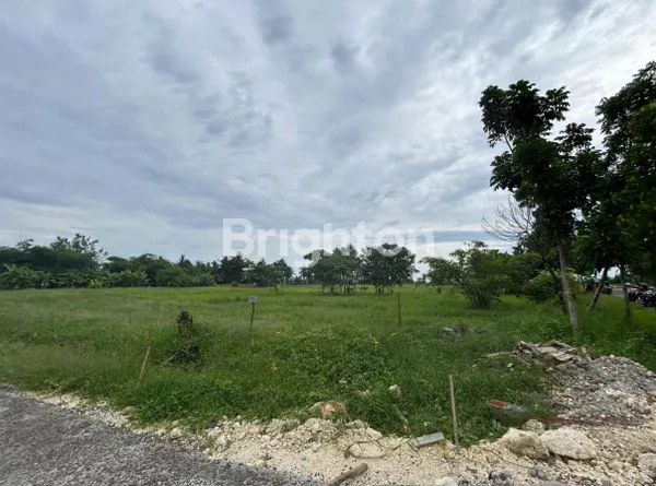 image TANAH KAVLING EKSKLUSIF VIEW SAWAH & LAUT DI PANTAI BELONG, TABANAN — INVESTASI MENAWAN DI SUASANA TENANG BALI! (2)