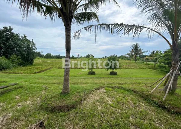 image TANAH KAVLING EKSKLUSIF VIEW SAWAH & LAUT DI PANTAI BELONG, TABANAN — INVESTASI MENAWAN DI SUASANA TENANG BALI! (3)