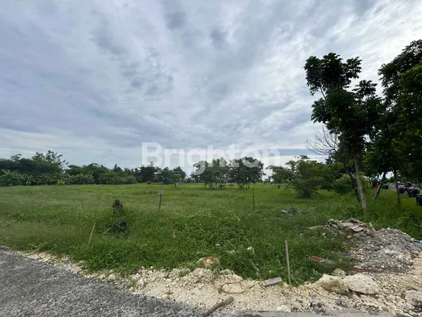 image TANAH KAVLING EKSKLUSIF VIEW SAWAH & LAUT DI PANTAI BELONG, TABANAN — INVESTASI MENAWAN DI SUASANA TENANG BALI! (6)