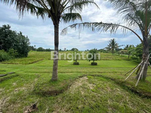 image TANAH KAVLING EKSKLUSIF VIEW SAWAH & LAUT DI PANTAI BELONG, TABANAN — INVESTASI MENAWAN DI SUASANA TENANG BALI! (7)