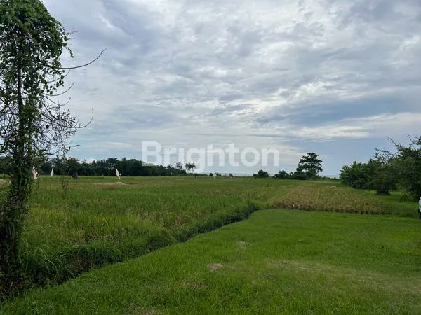 image TANAH KAVLING EKSKLUSIF VIEW SAWAH & LAUT DI PANTAI BELONG, TABANAN — INVESTASI MENAWAN DI SUASANA TENANG BALI! (4)