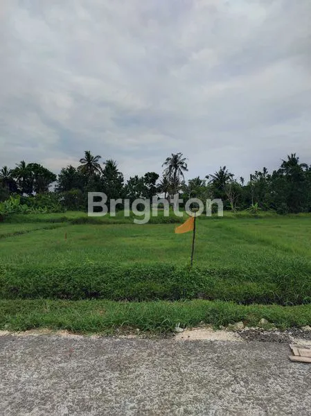 image INVESTASI TANAH PREMIUM DI PANTAI BALI (2)