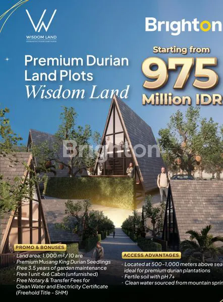 image PREMIUM, TANAH KAVLING DURIAN MUSANGKING 10 ARE - VIEW HILL, OCEAN, FORREST - INVESTASI AGRO & ECO  TOURISM DI PENEBEL TABANAN. (1)