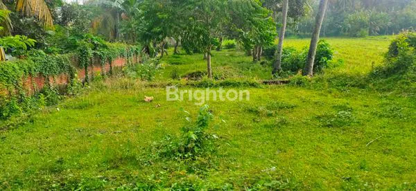 image DIJUAL TANAH DAN BANGUNAN DILOKASI PREMIER DENGAN INVESTASI YANG SANGAT MENGUNTUNGKAN DI JALUR UTAMA DENPASAR - GILIMANUK JEMBRANA BALI (7)