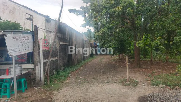 image INVESTASI STRATEGIS TANAH 1.573M² AL BALIYAH (6)