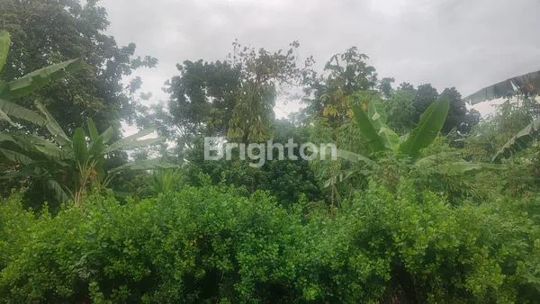 image INVESTASI STRATEGIS TANAH 1.573M² AL BALIYAH (4)