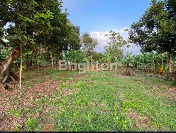 image TANAH  DI CIBENING SETU BEKASI (3)