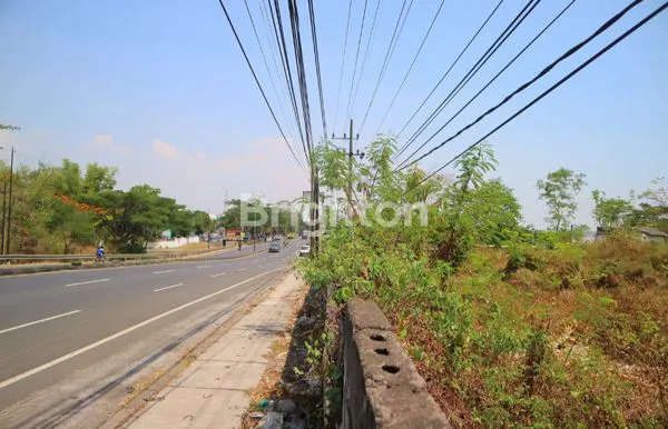 image TANAH LUAS POROS JALAN RAYA MALANG-SURABAYA PURWOSARI  (3)