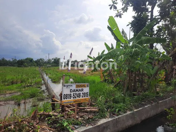 image *LAHAN TANAH COCOK UNTUK PERUMAHAN AREA KUDU BAKI* (2)