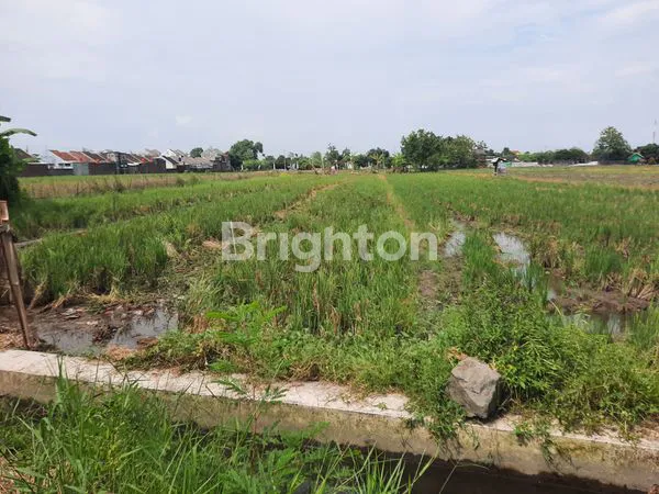 image *LAHAN TANAH COCOK UNTUK PERUMAHAN AREA KUDU BAKI* (5)