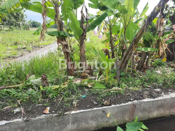 image *LAHAN TANAH COCOK UNTUK PERUMAHAN AREA KUDU BAKI* (7)