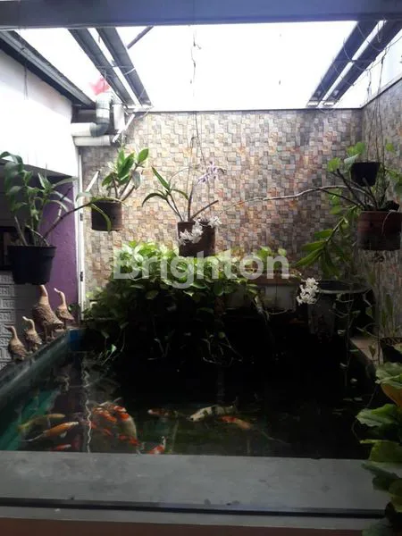 image RUMAH DIJUAL SUKODONO (3)