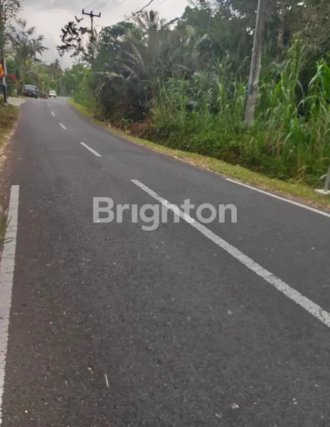 image TANAH 19 ARE DI RENDANG KARANGASEM | DEKAT TELAGA WAJA & AKSES BESAKIH | COCOK VILA/RESORT (2)