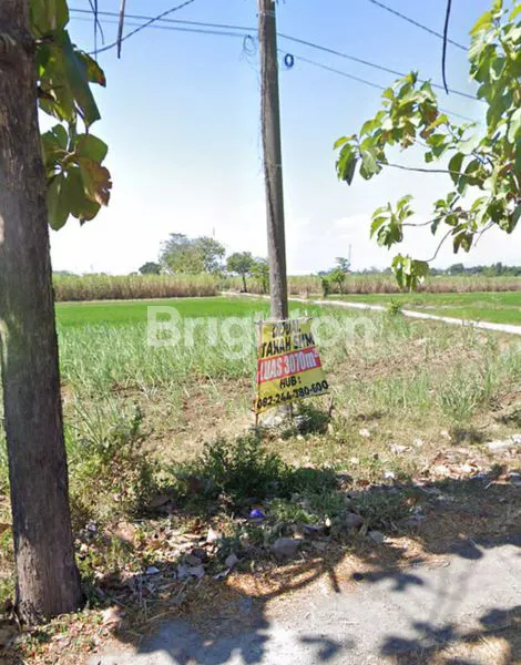 image DU JUAL TANAH (1)