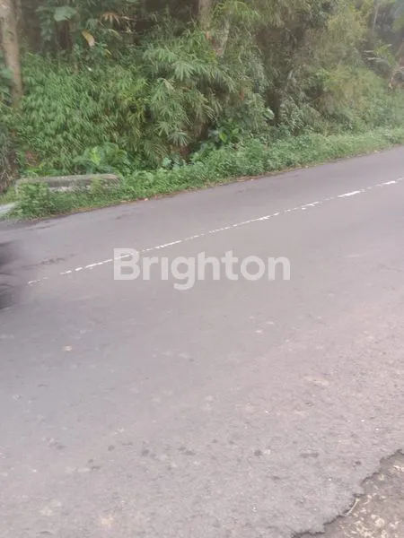 image DIJUAL TANAH STRATEGIS BISA UNTUK USAHA (8)