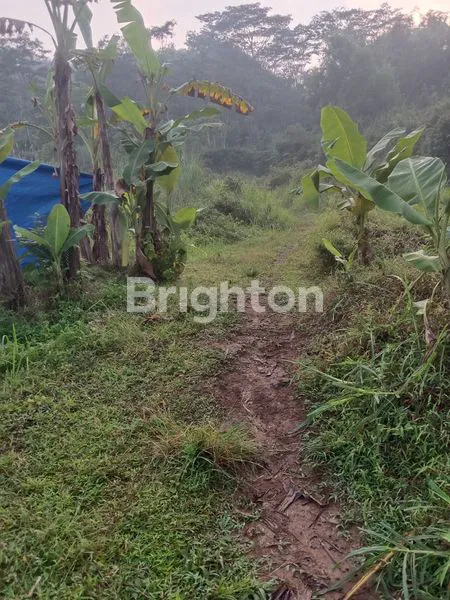 image DIJUAL TANAH STRATEGIS BISA UNTUK USAHA (2)