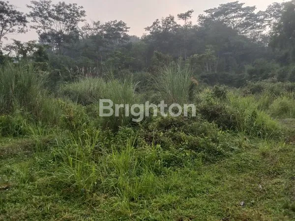 image DIJUAL TANAH STRATEGIS BISA UNTUK USAHA (4)