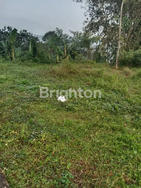 image DIJUAL TANAH STRATEGIS BISA UNTUK USAHA (5)