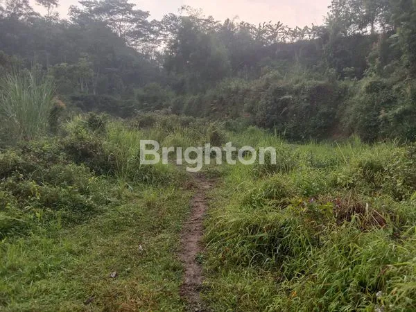 image DIJUAL TANAH STRATEGIS BISA UNTUK USAHA (7)