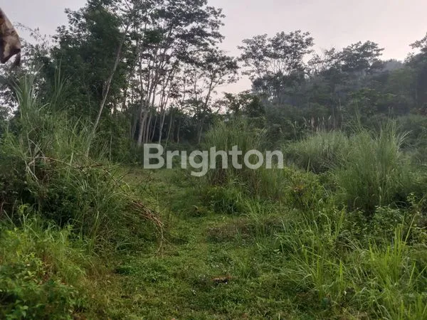 image DIJUAL TANAH STRATEGIS BISA UNTUK USAHA (6)