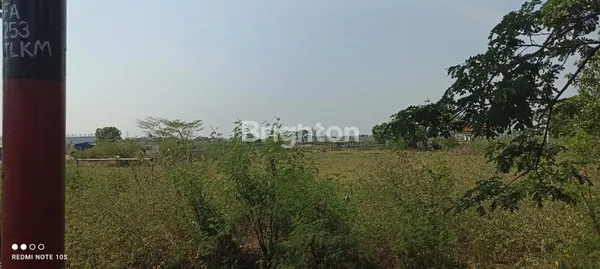 image LAHAN 4438M² SHM, LOKASI PREMIUM GRESIK (8)